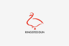 Ringsted Dun